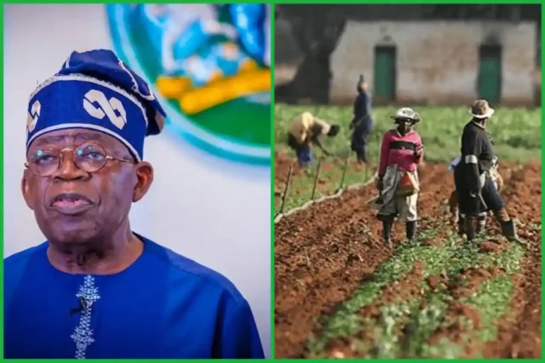 Tinubu Orders FEC Committee To Crash Food Prices