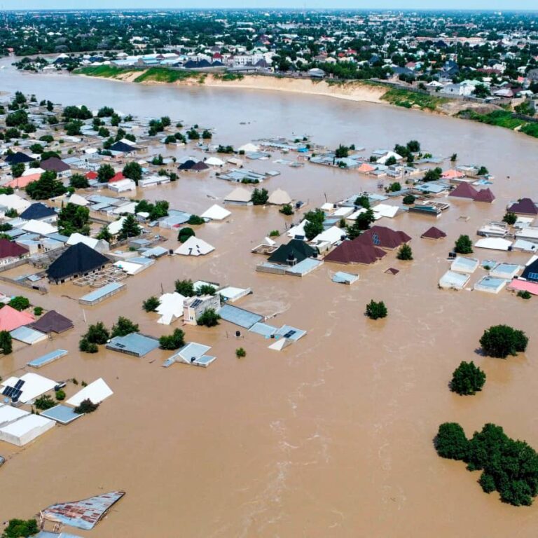 NEMA Confirms 231 deaths, 607 injuries in 2025 floods …114 missing