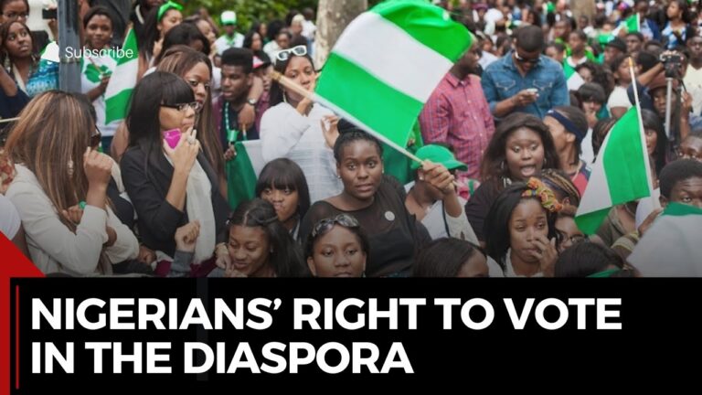 NUSA Seeks Voting Right For Nigerians In Diaspora