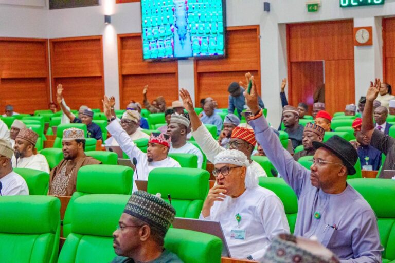 Reps To Investigate Abuja $460m CCTV Installation Contract