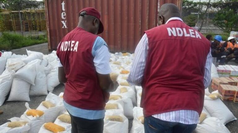NDLEA intercepts US, UK, DRC-bound Illicit Drugs Concealed In Frozen Snails, Bulbs At Lagos Airport