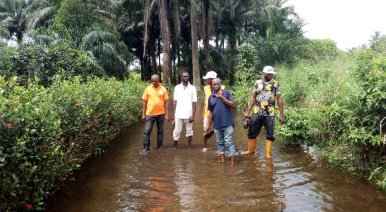 Ravaging ‎Flood: Eleme Residents Appeal For Rivers State Government’s Intervention