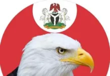 Six In 10 Undergraduates Involved In Cybercrime, EFCC Chair Raises Alarm