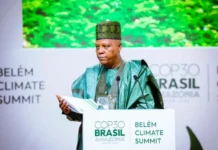 Climate Change: Nigeria Seeks Increased Global Financing To Restore, Protect Nature