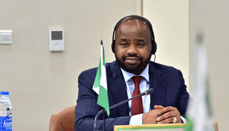 Tax Reform: Professional bodies, Our Prime Targets In 2026 – IRS