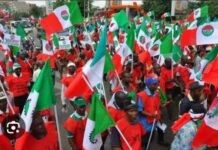 NLC Urges Nigeria To Champion Africa’s Demand For Climate Justice