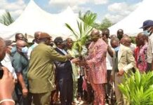 Agriculture: How States Can Generate Additional N100bn -ActionAid