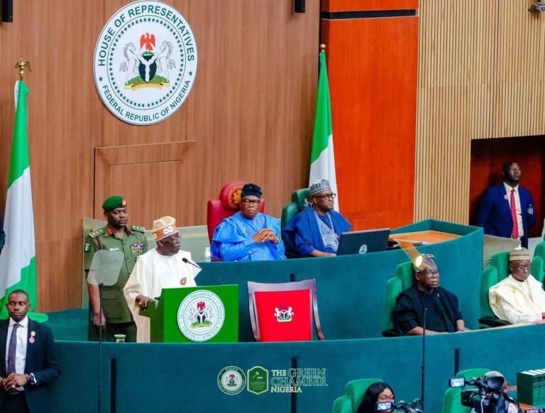 Tinubu Proposes N5.41tn For Security In 2026 Budget