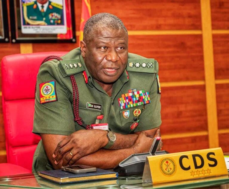 Beyond The Battlefield: Oluyede’s First 100 Days And Nigeria’s Economic Security